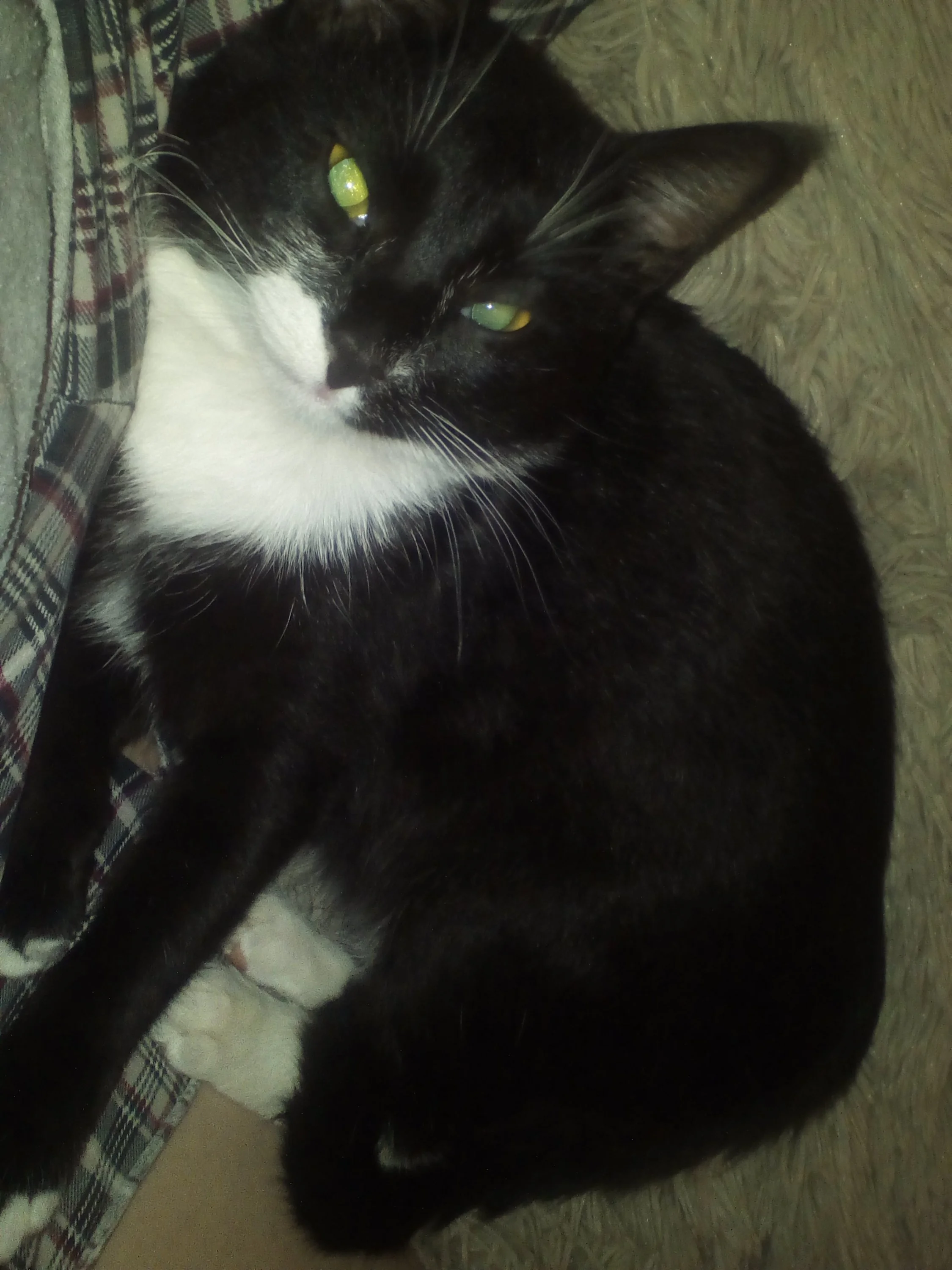 img_20170707_213000-jpg.438858