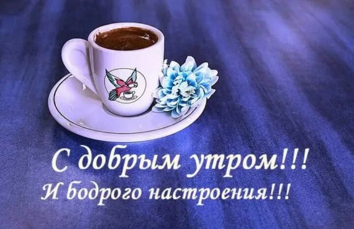 Картинки бодрого вторника прикольные