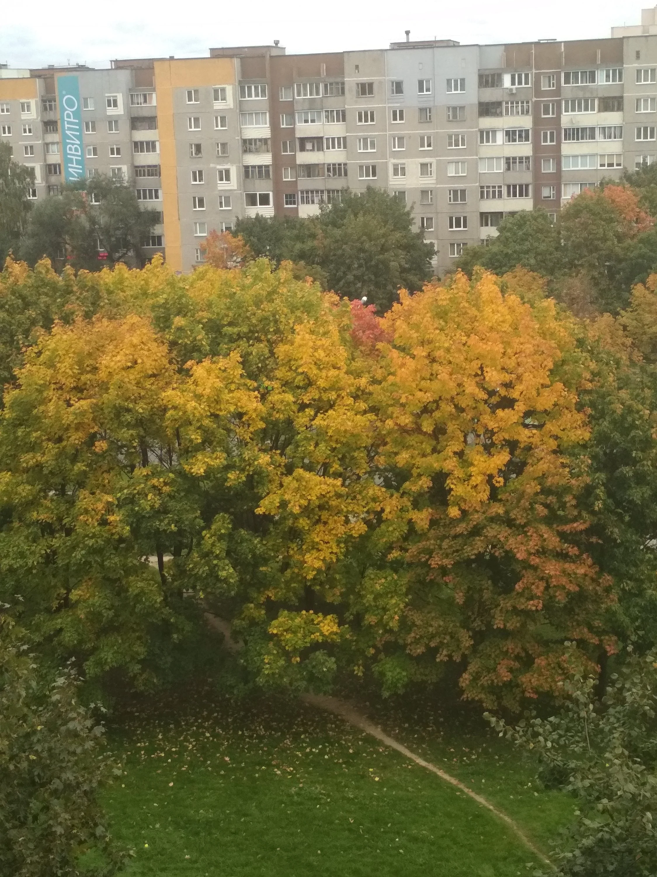 img_20171001_111859-jpg.487214