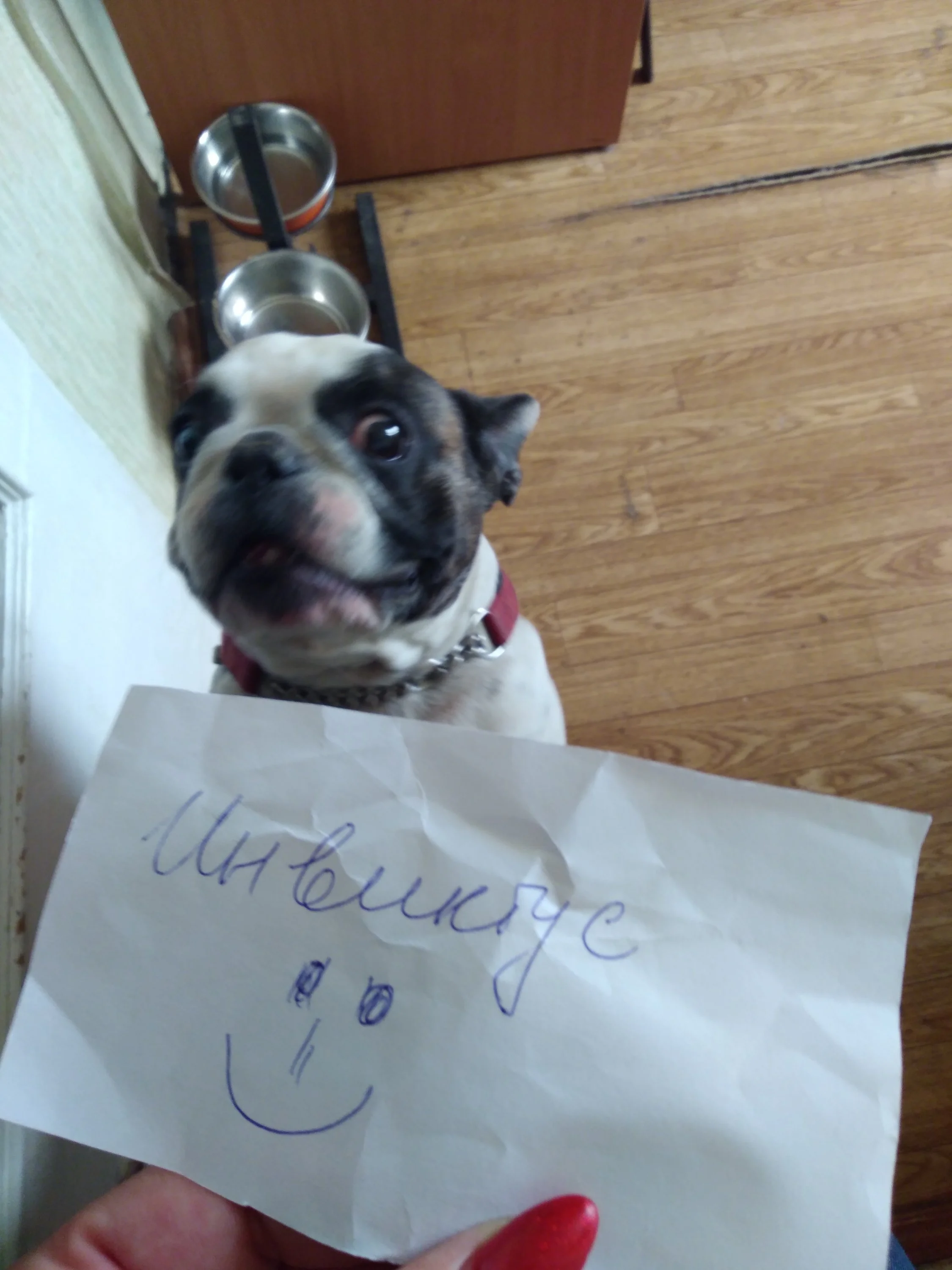 img_20180418_135452-jpg.610450