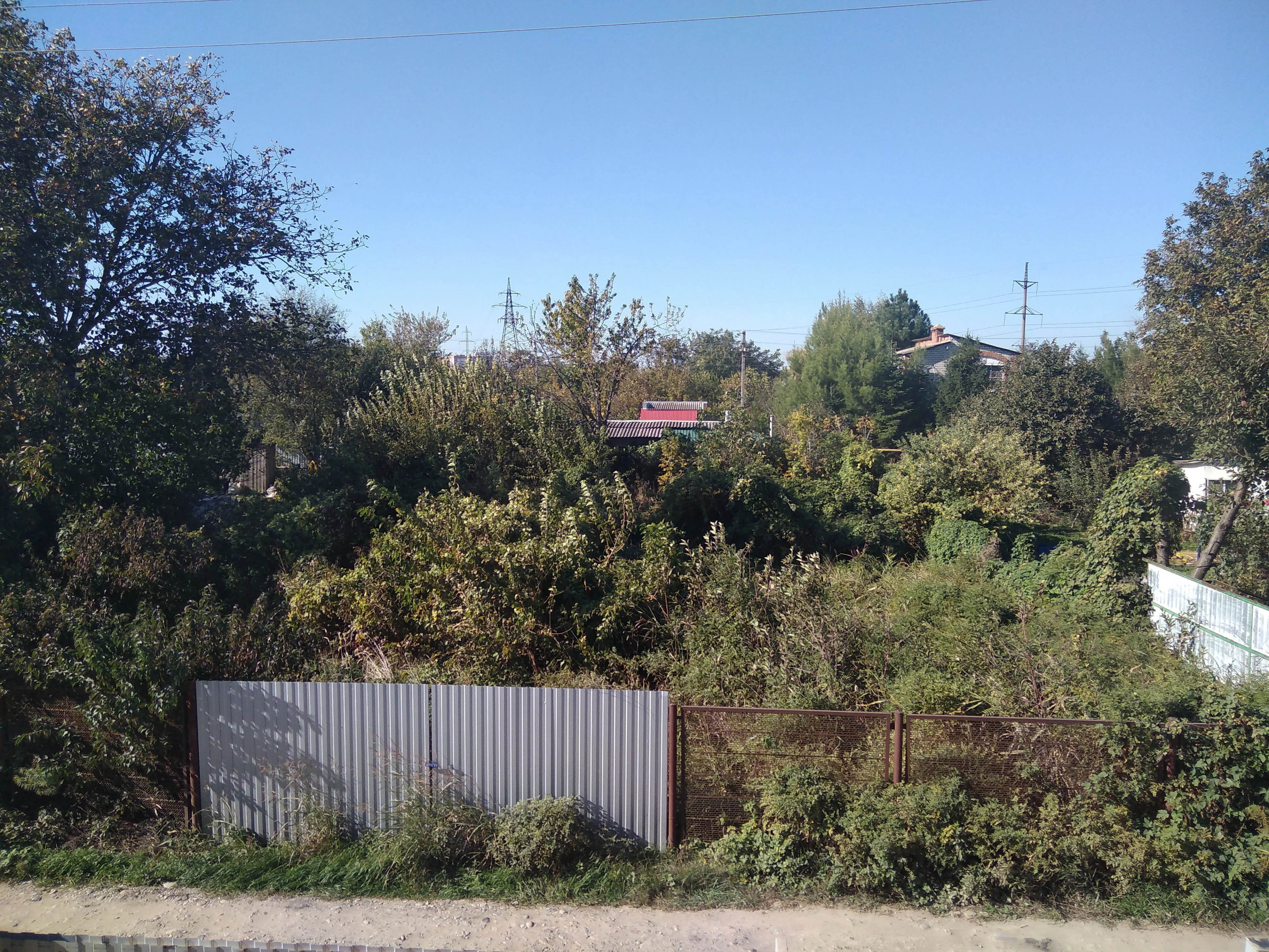 img_20181016_134338-jpg.725027