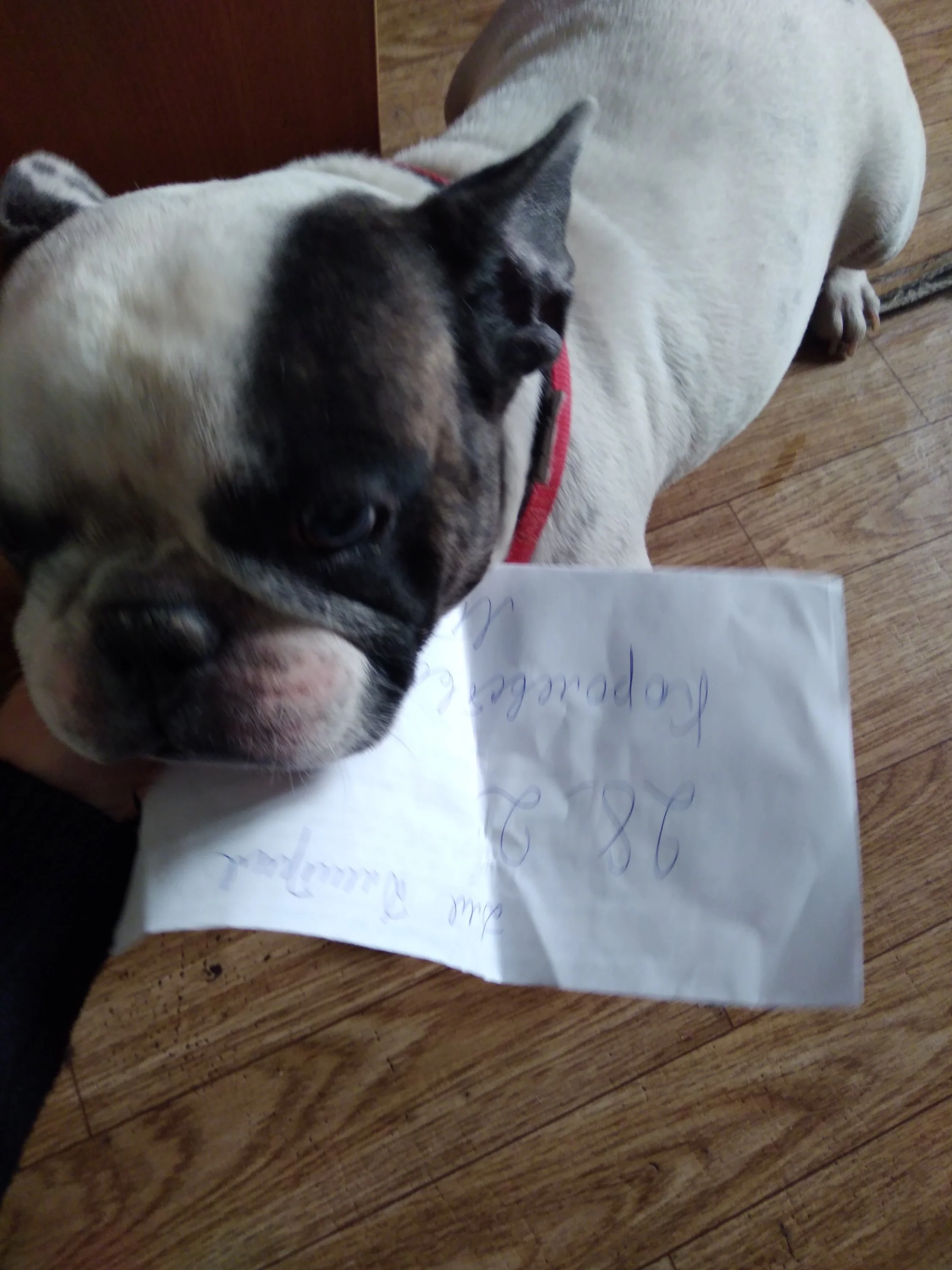 img_20181127_101524-jpg.759745