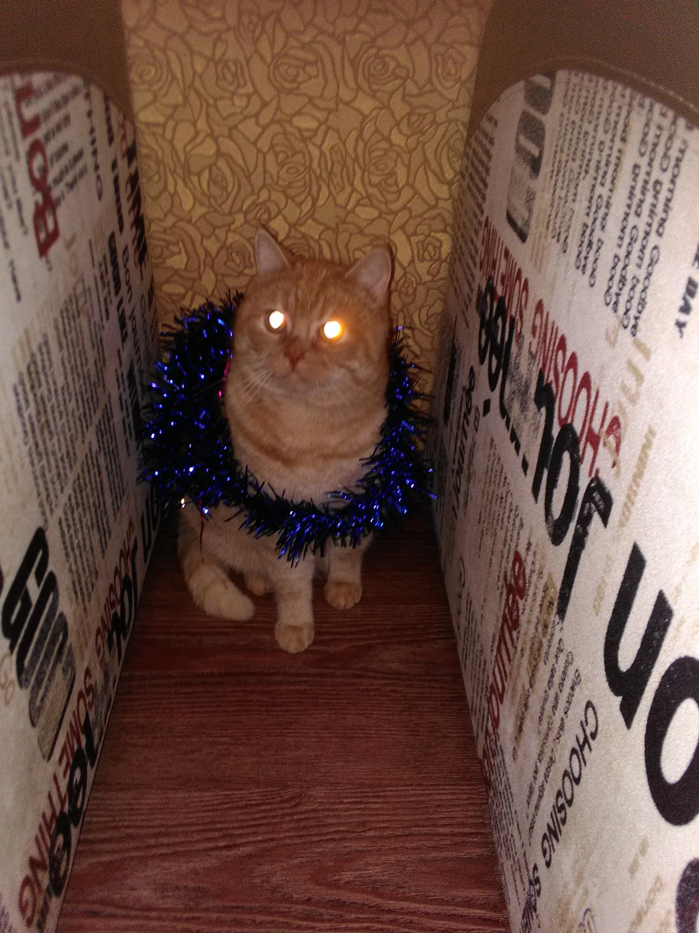 img_20190101_011955-jpg.1071000