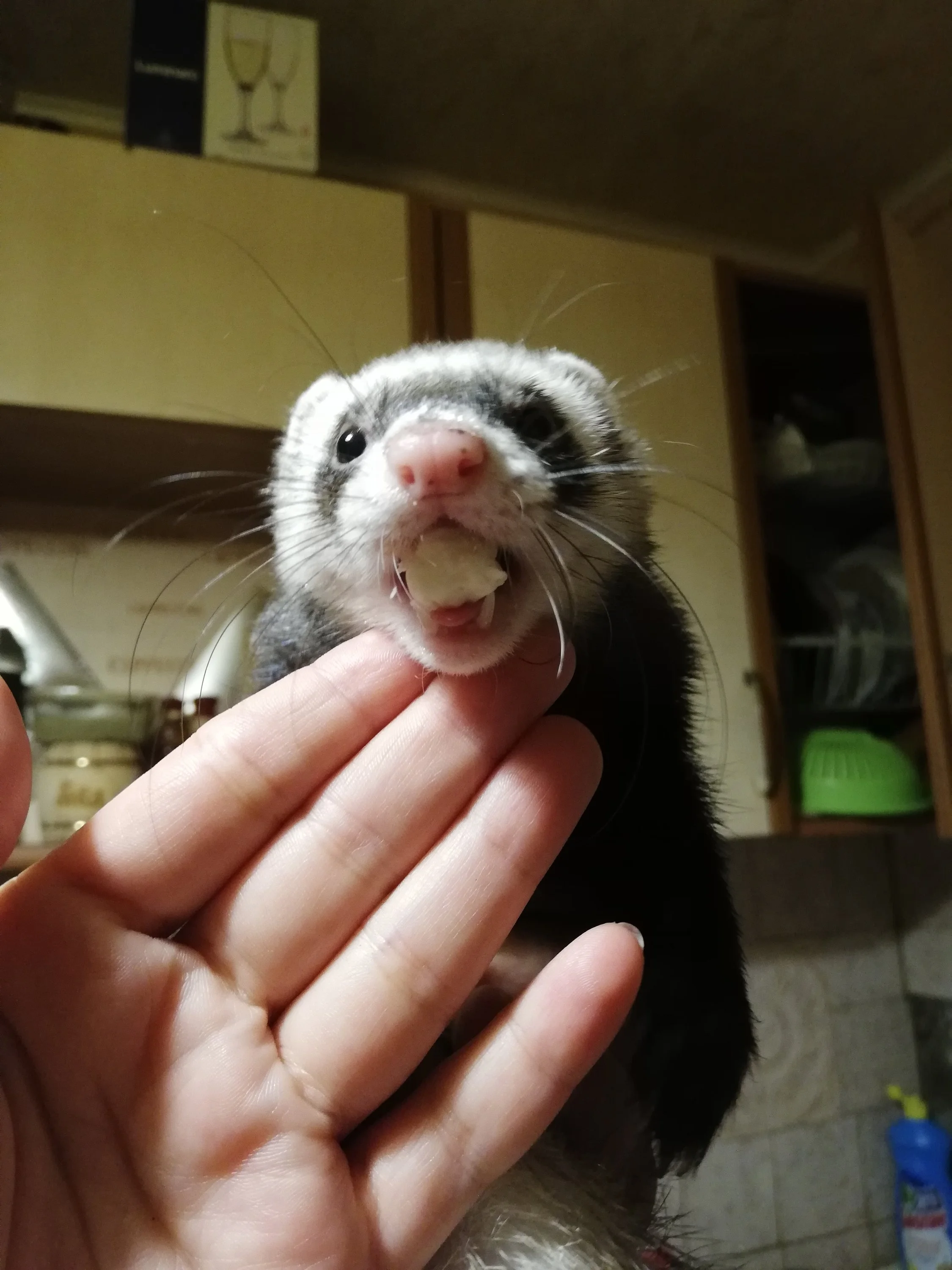 img_20191001_232617-jpg.1068193