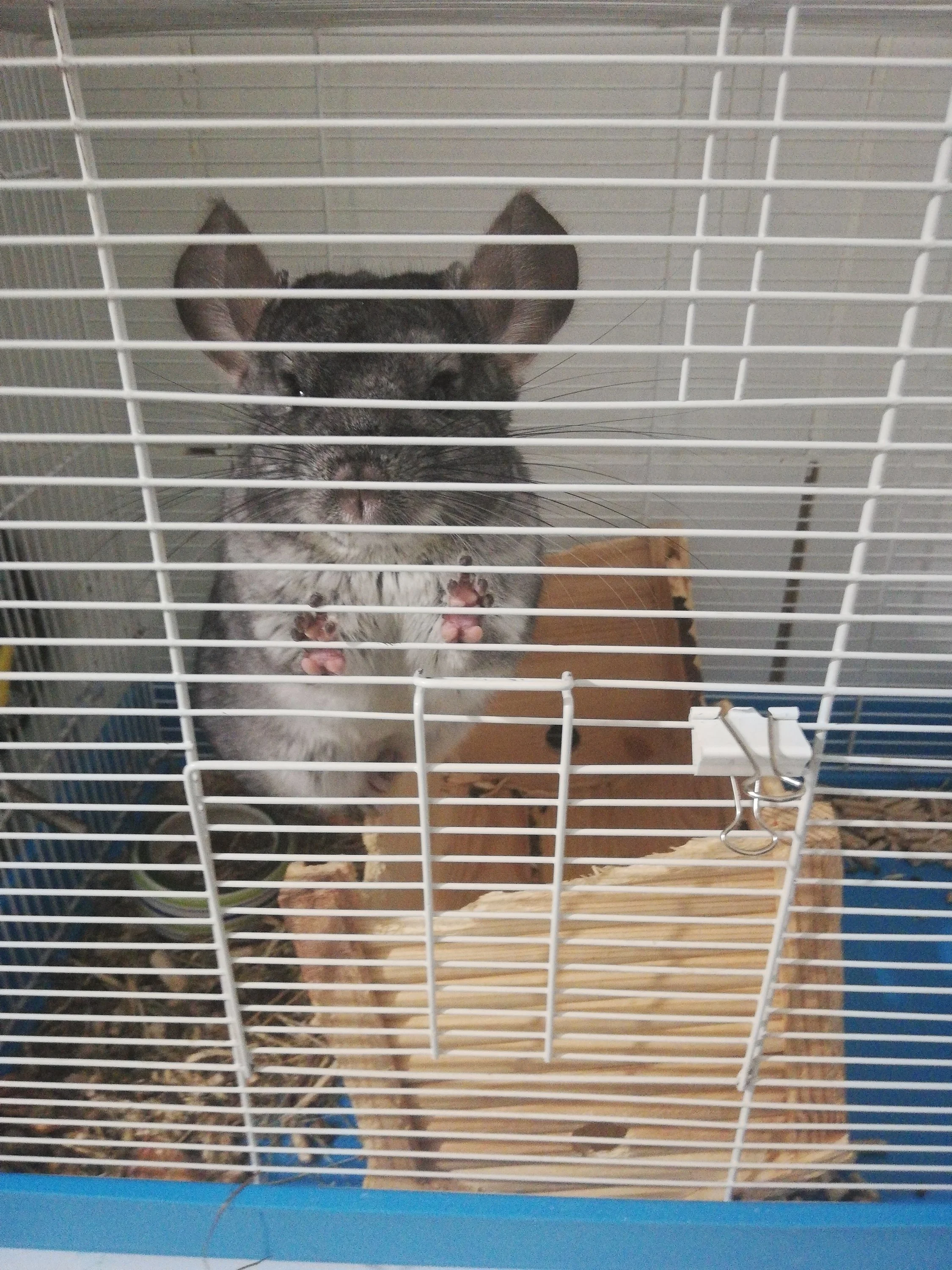 img_20191014_201722-jpg.1068192