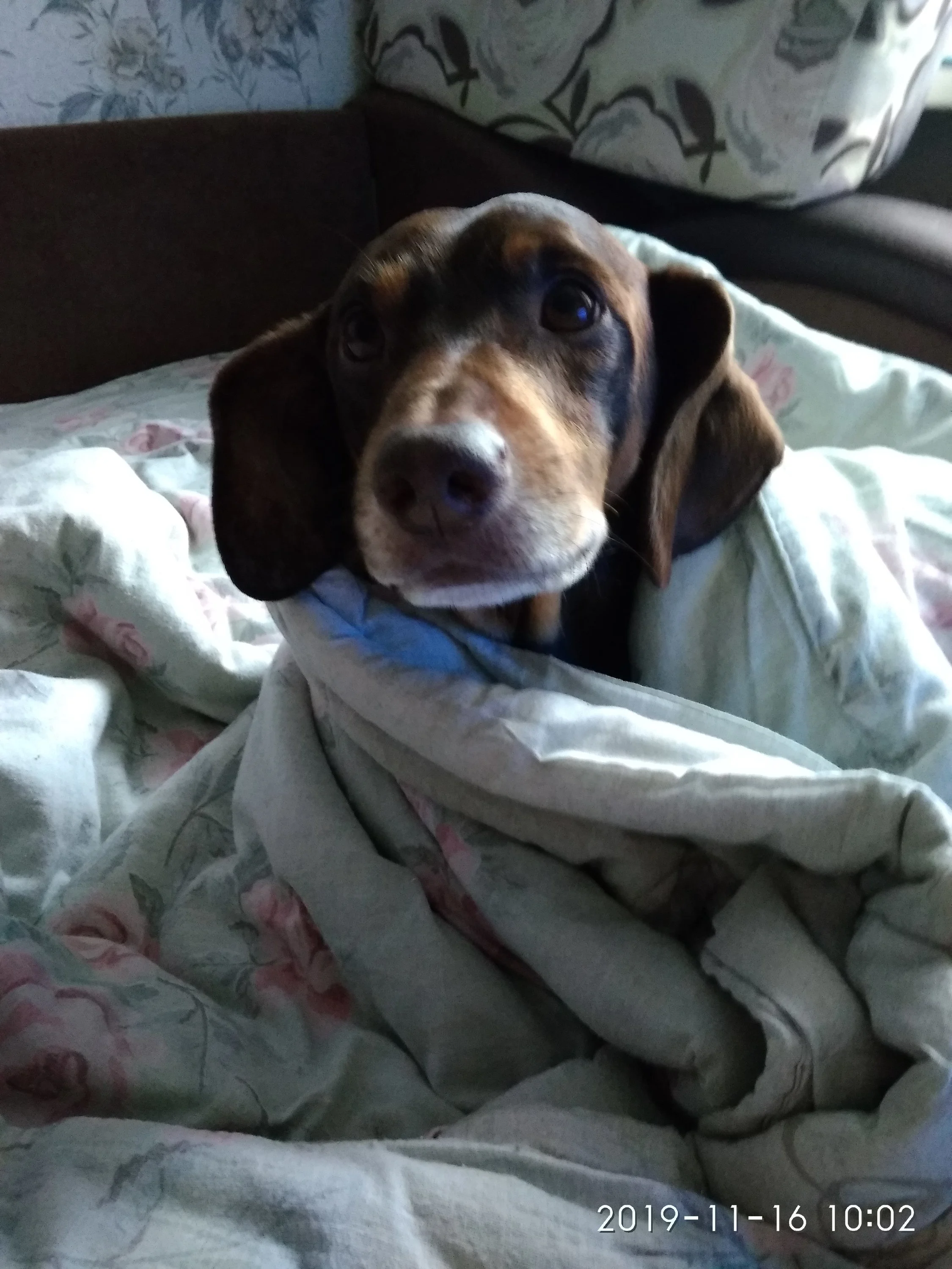 img_20191116_100246-jpg.1067950