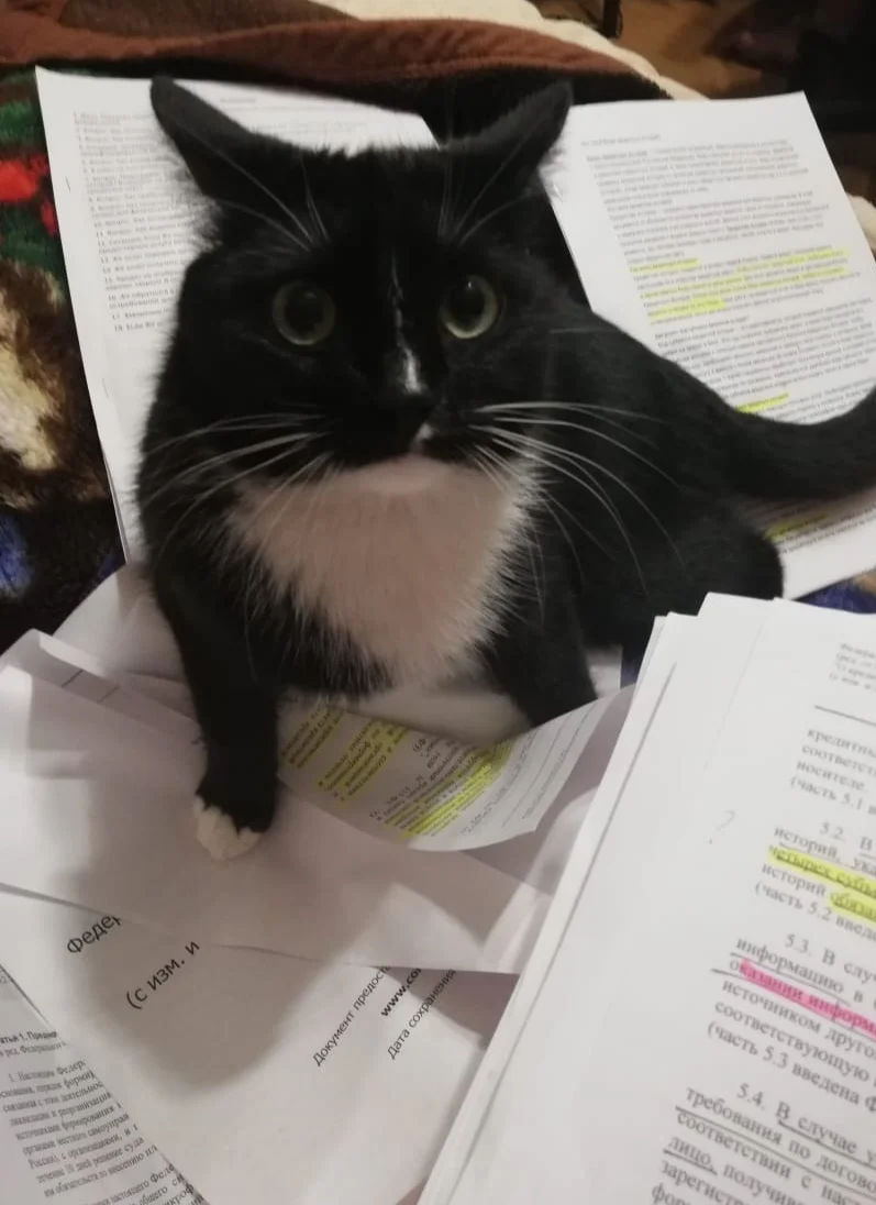 img_20191201_111703-jpg.1068182