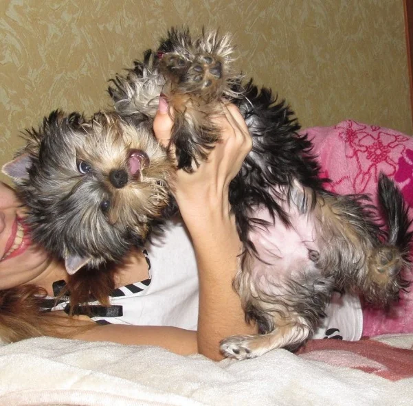 img_20191202_224136-jpg.1069708