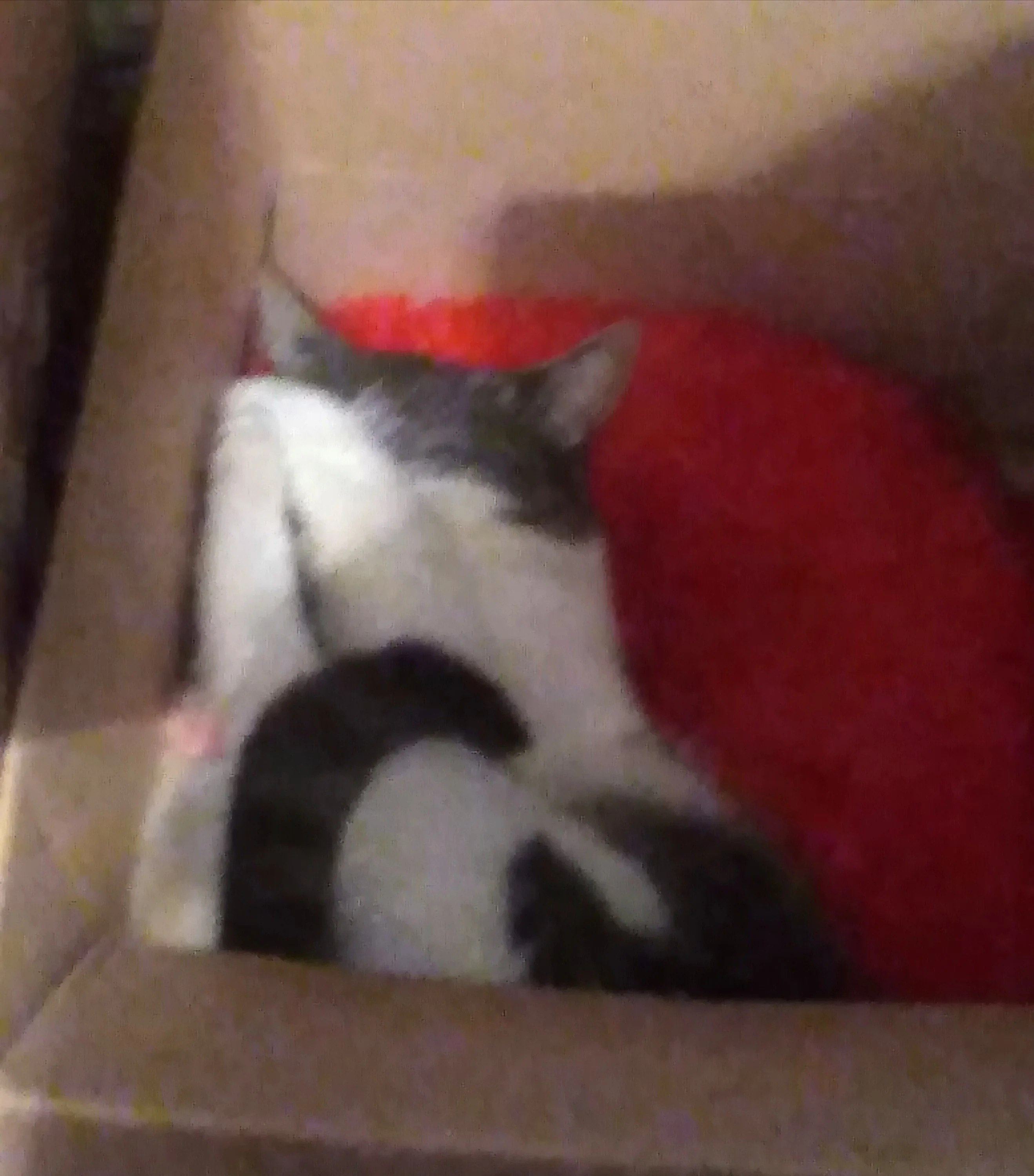 img_20200122_173829-jpg.1105259