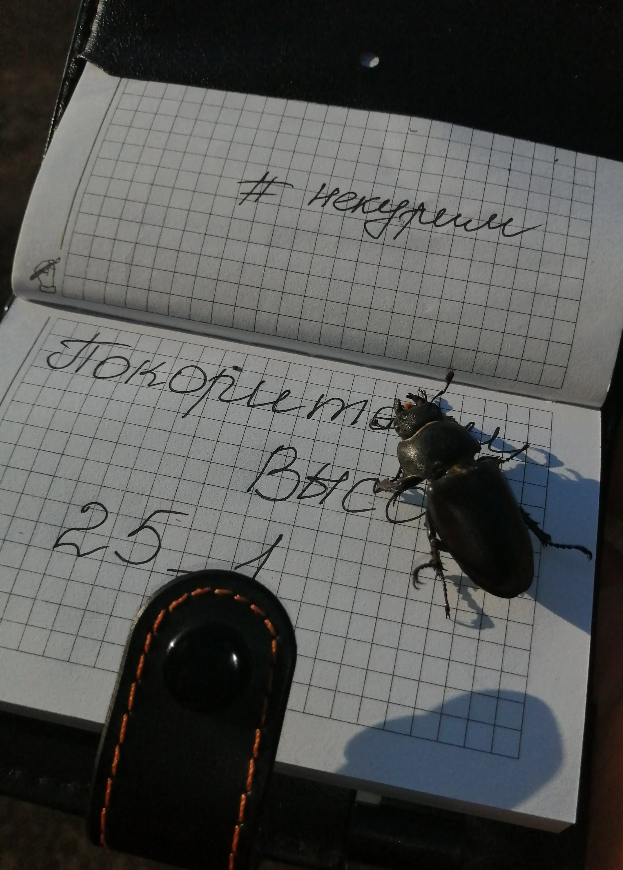 img_20200820_075131-jpg.1254450