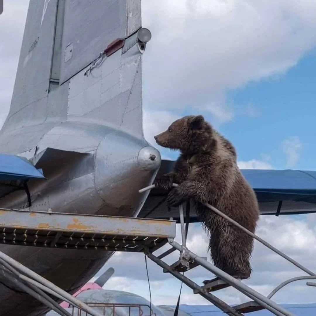 img_20201203_183119_482-jpg.1317921