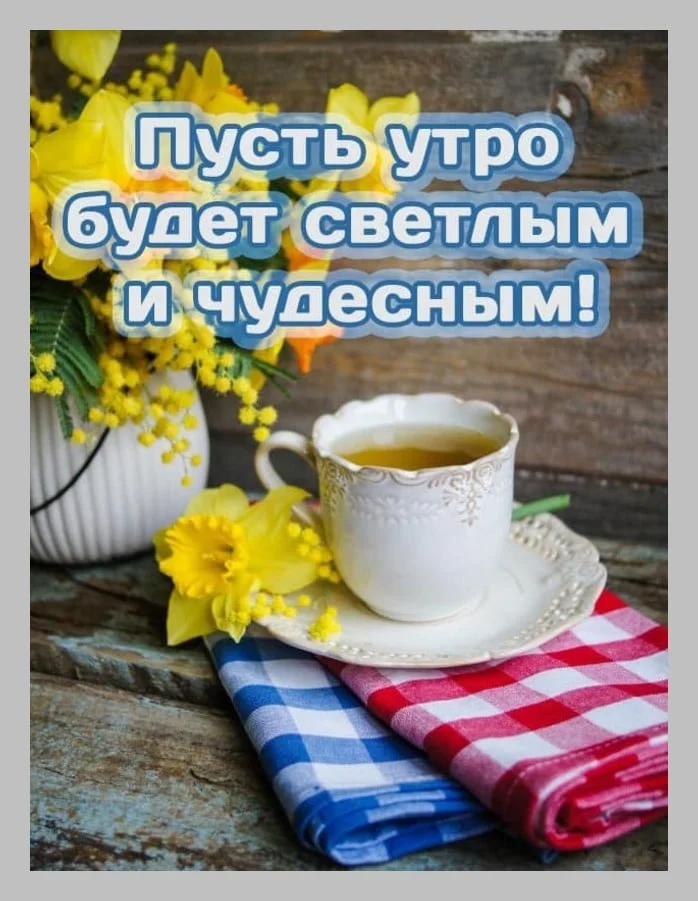 доброго светлого утра. со светлым утром. доброго светлого утра. нежный букет. светлого утра.