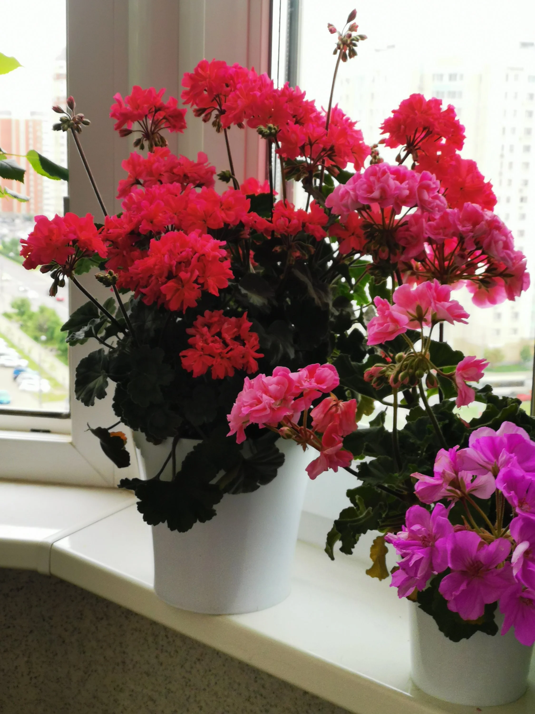 img_20230524_185729-jpg.2052876