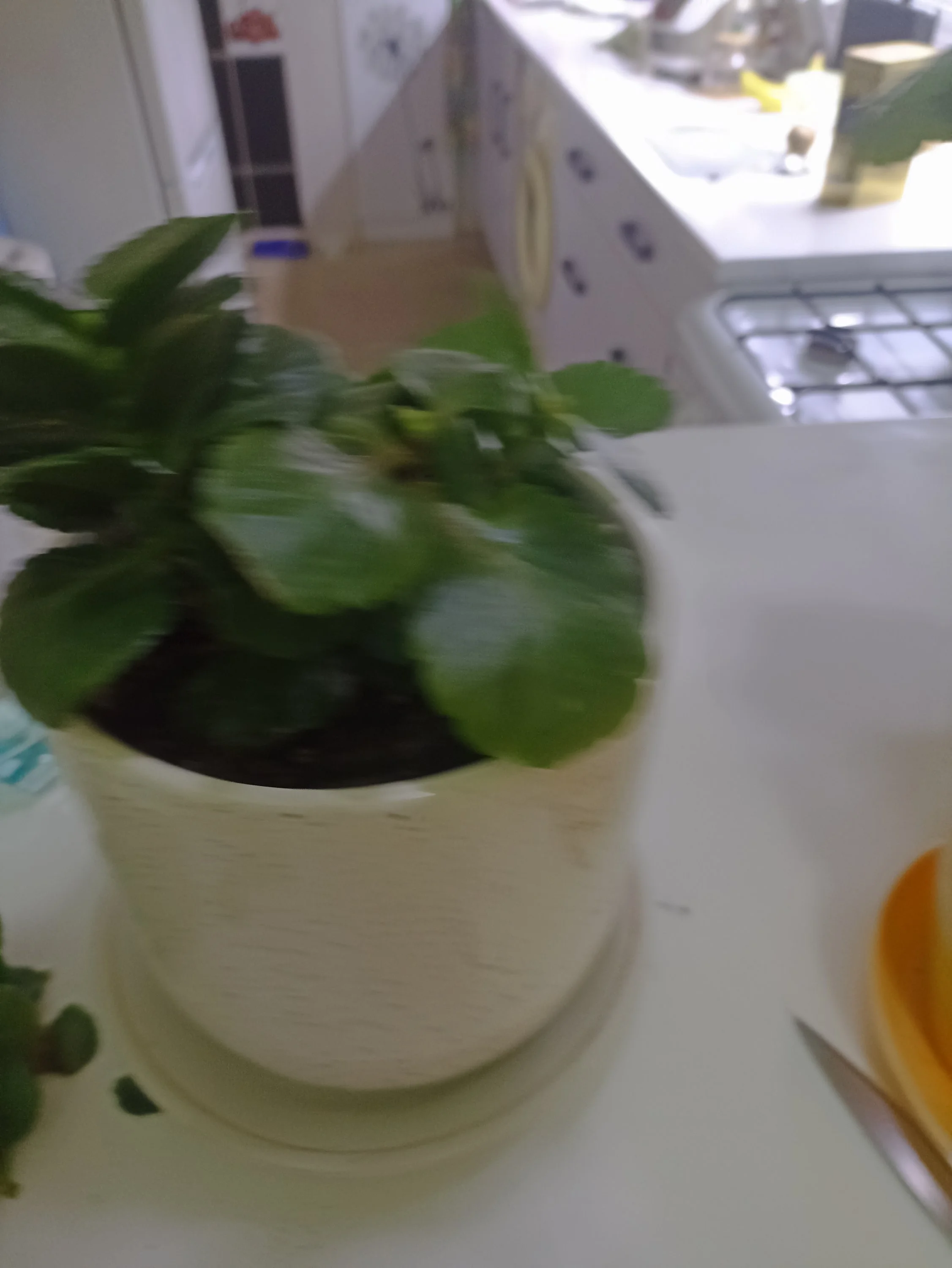 img_20240319_200148-jpg.1978421