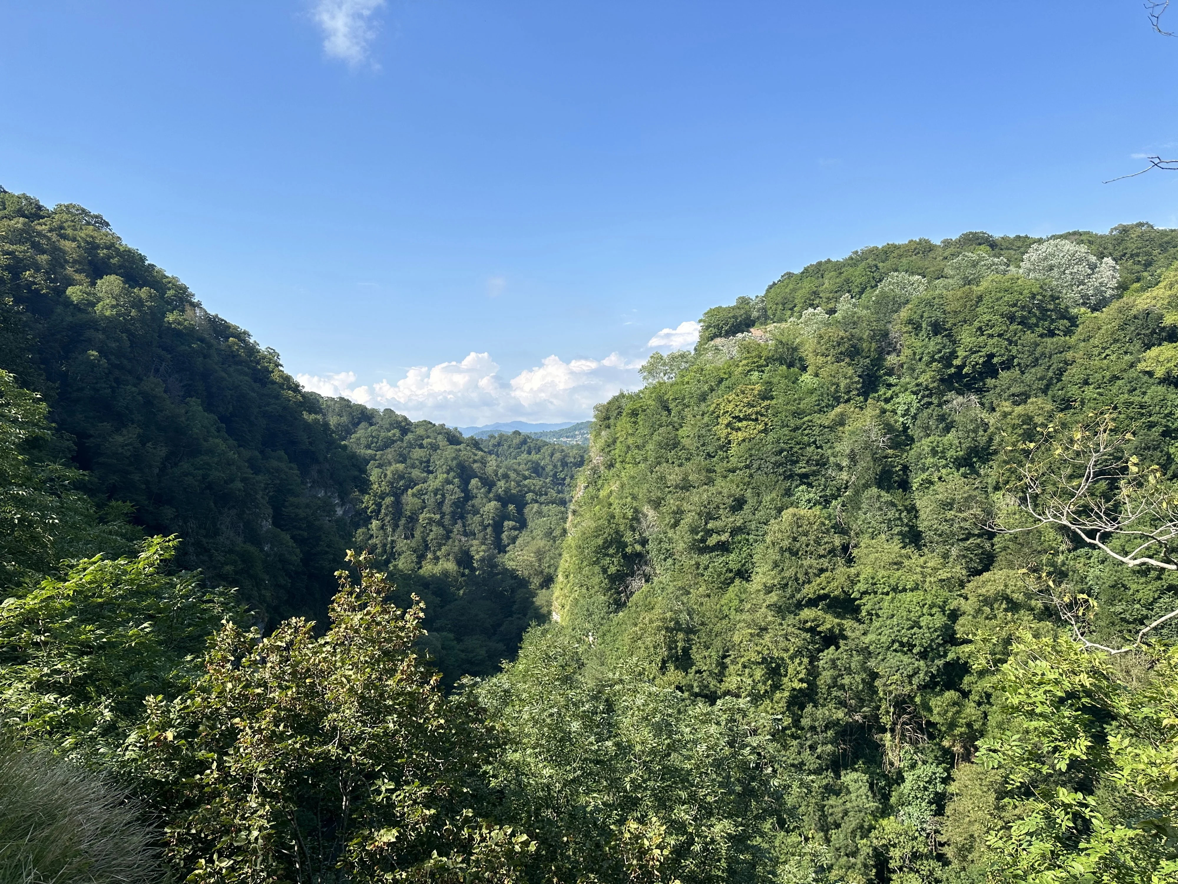 img_2558-jpeg.1908222