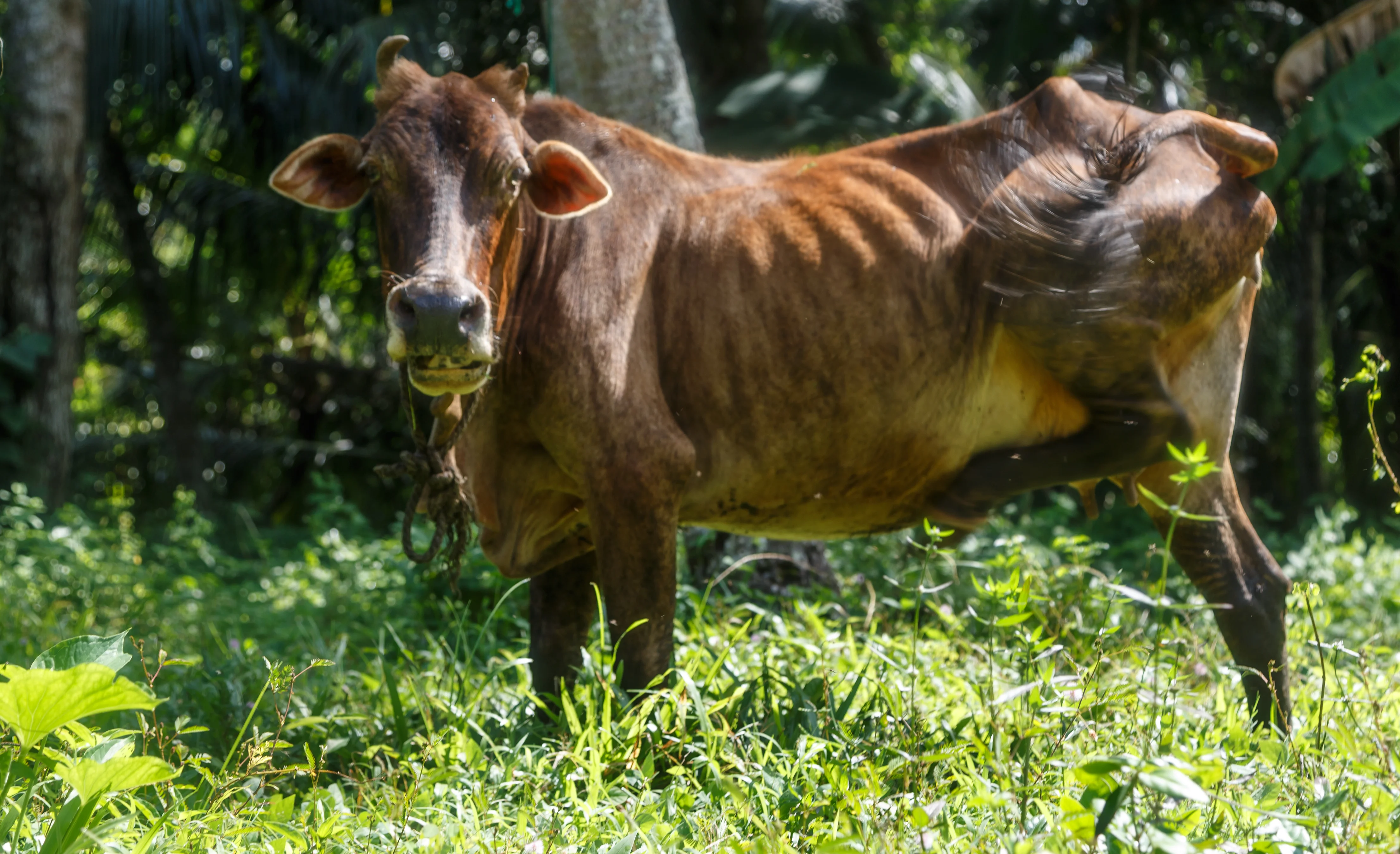 img_3019-jpg.1068248