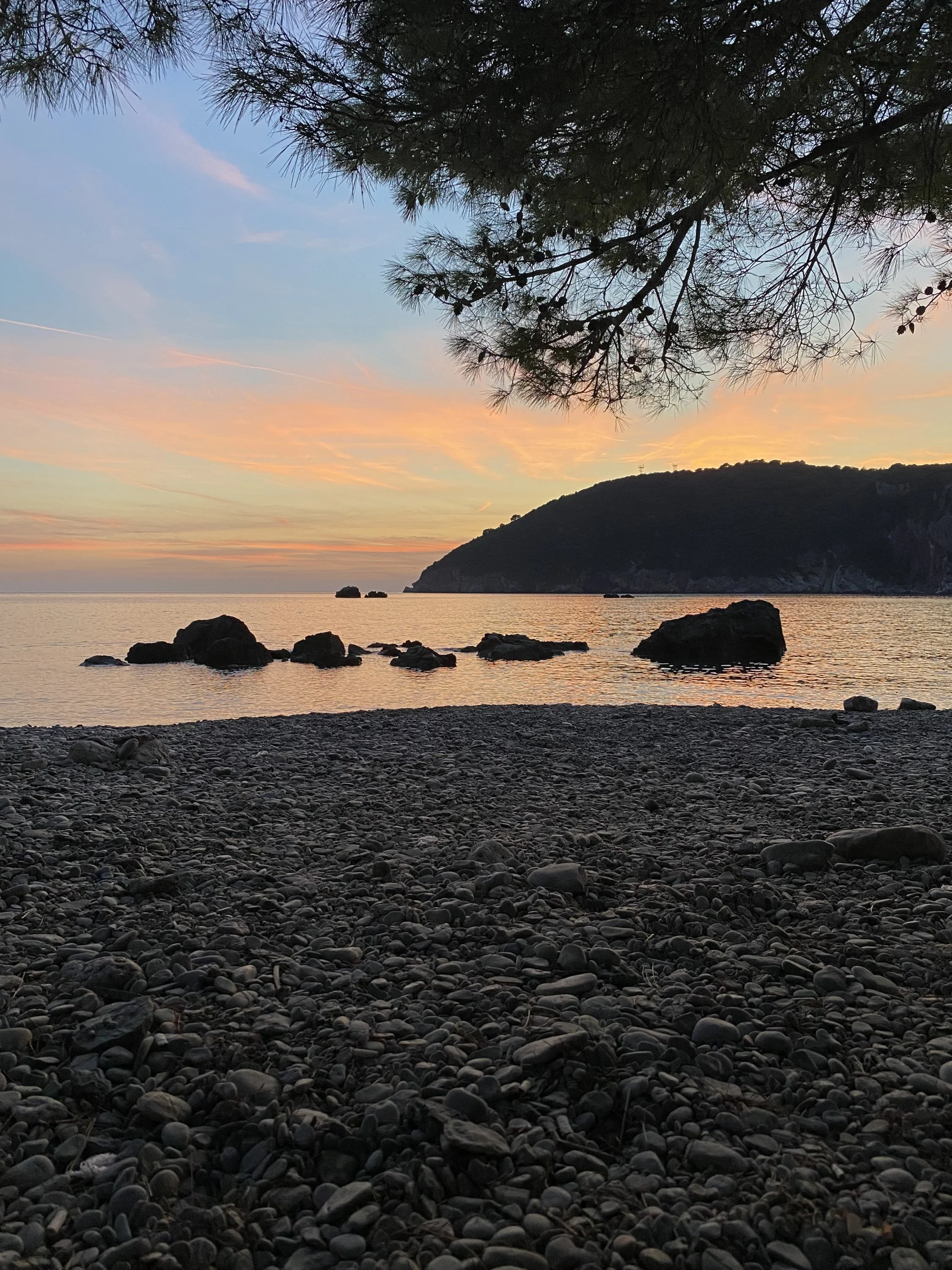 img_4795-jpeg.1887217