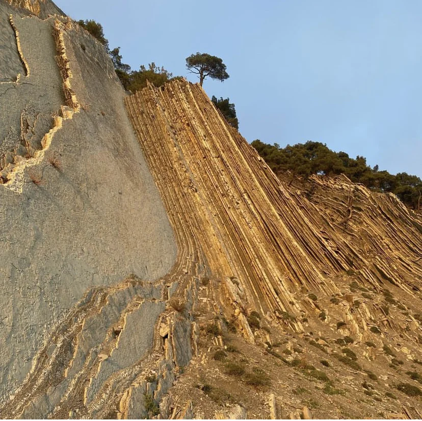 img_5111-jpeg.1887074