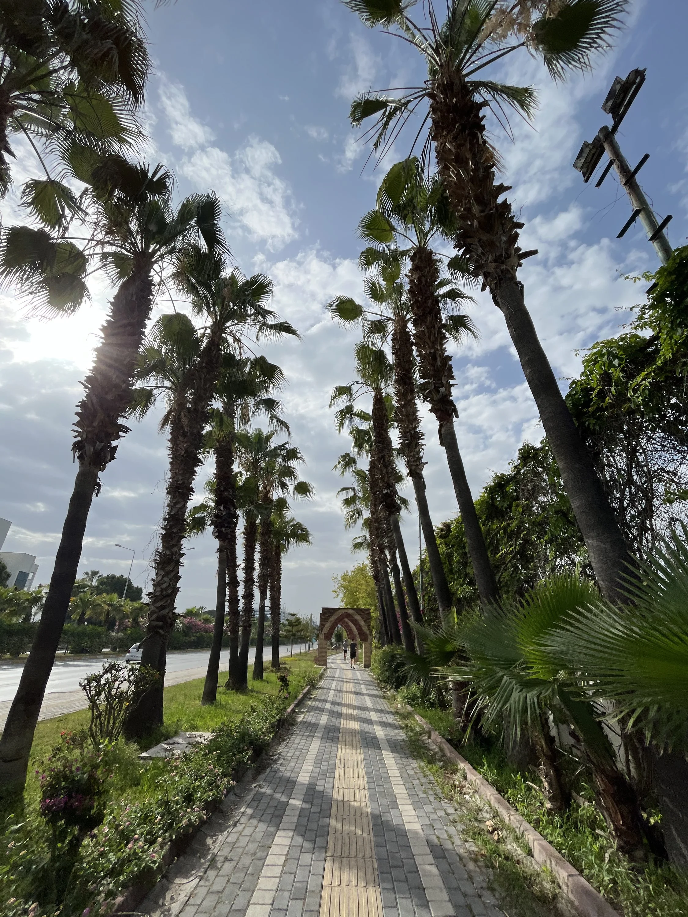 img_7733-jpeg.1823772