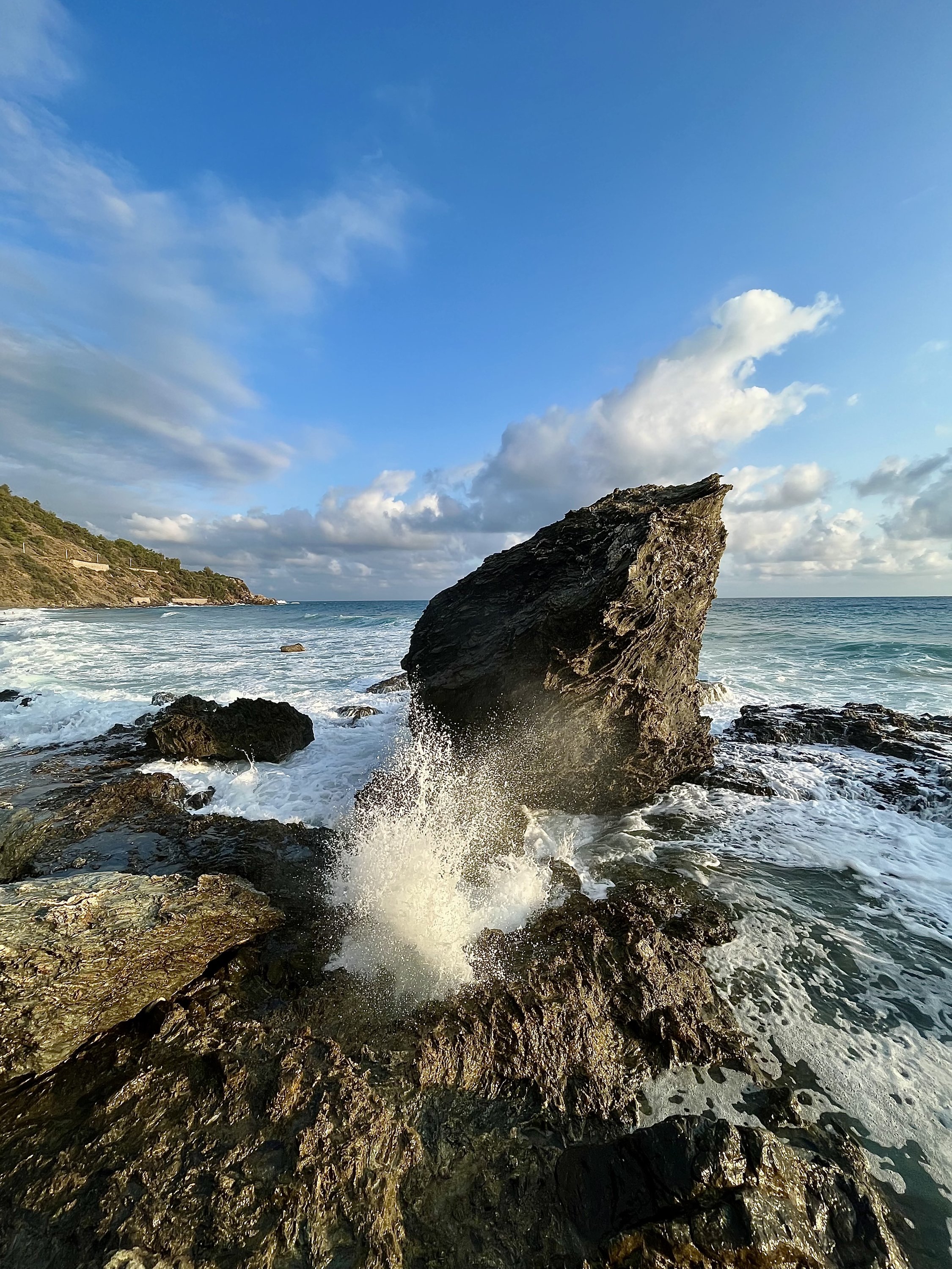 img_8369-jpeg.1852550