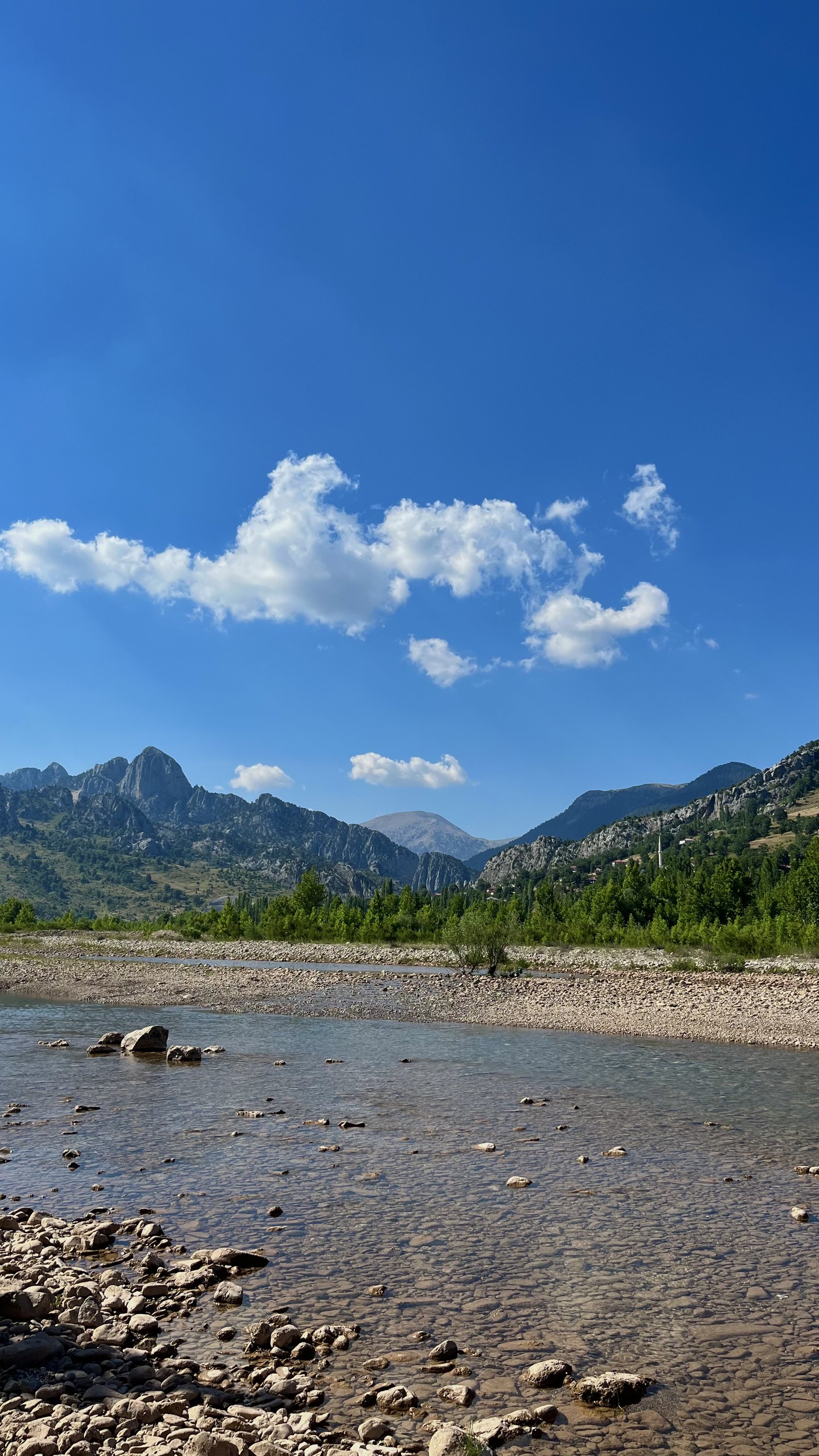 img_8560-jpeg.1852545