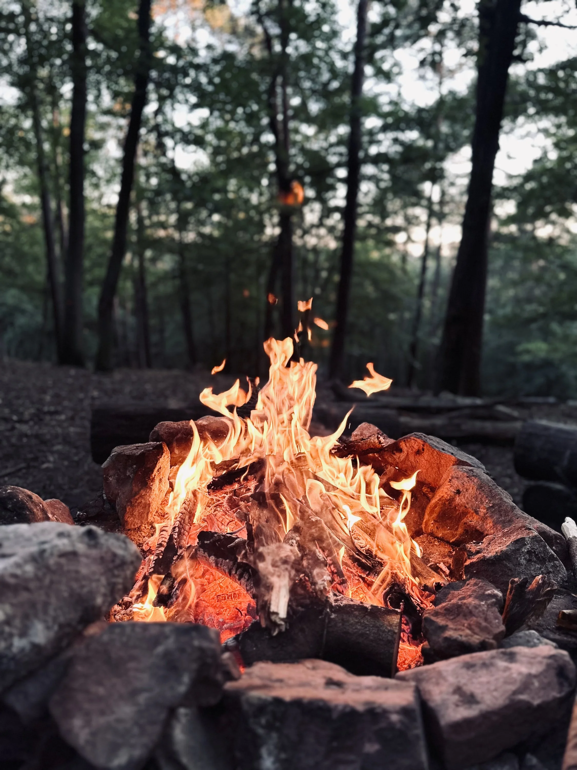 img_8752-jpeg.1886358