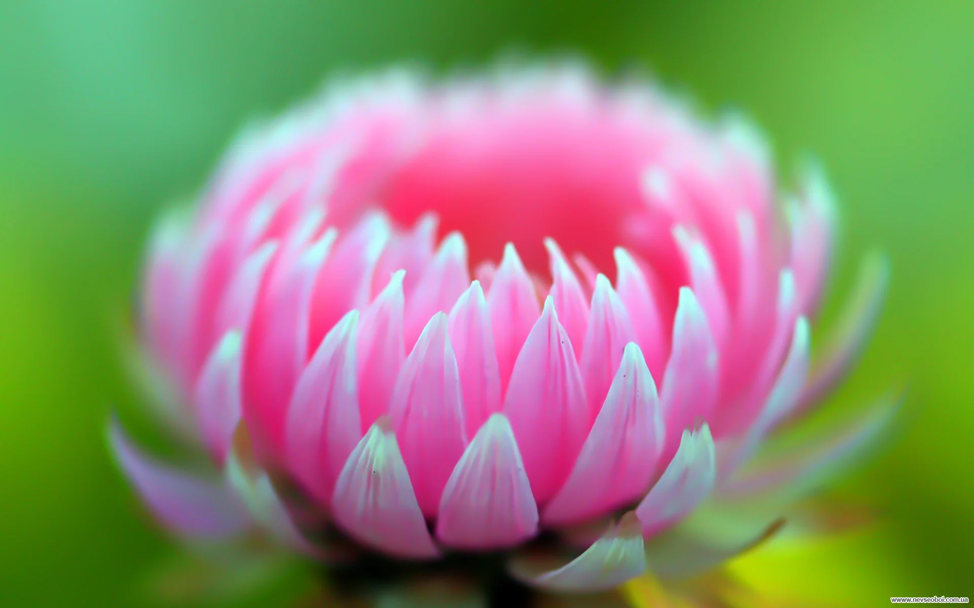 imgs_touch-27-jpeg.645771