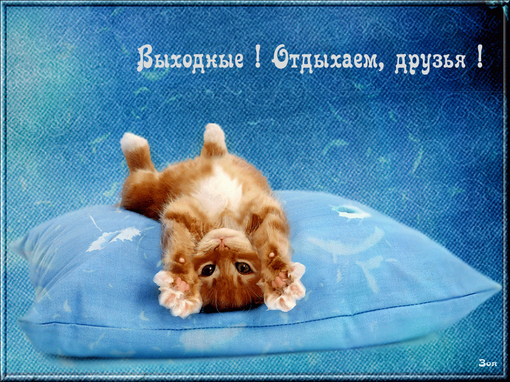 Друзья по-отдельности хорошо по-трахались на выходных