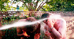 imperturbablehastyherald-size_restricted-gif.1405079