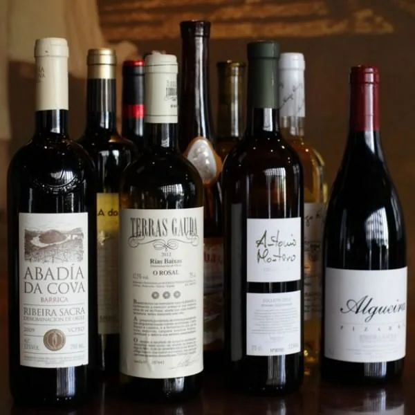 испанский винный сосуд. риоха вино испания. вино испания. вино в испанском стиле. вина испании отзывы.