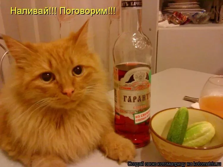 Наливай и не стесняйся