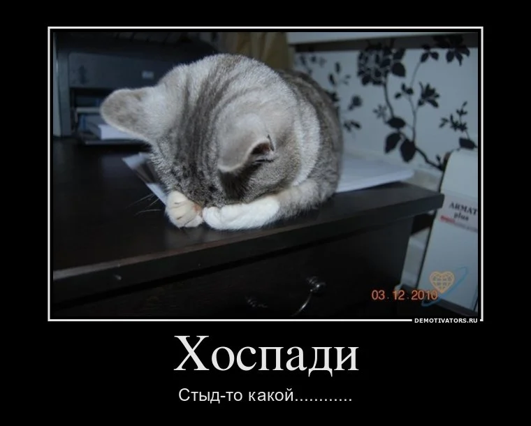 j1-jpg.765315