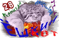 joshkin-kota-png.702898