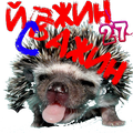 jozhin-s-bazhin1-png.1444632