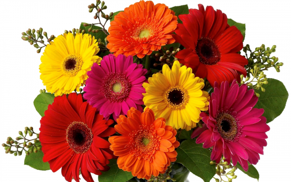 kartinki24_ru_bouguets_of_flowers_49.jpg