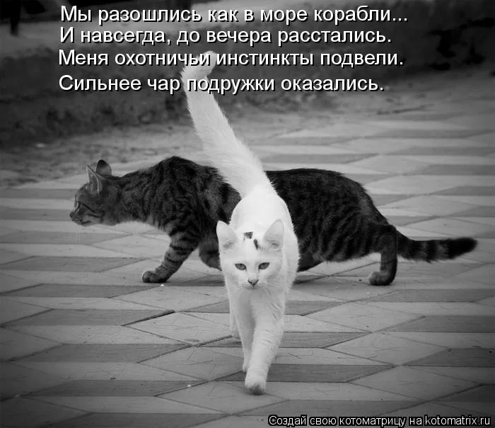 Умелый мужик завел красивую