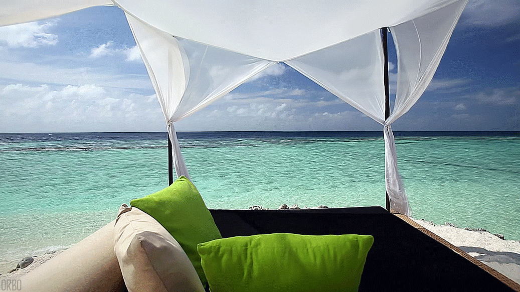 maldivy-3-gif.310321