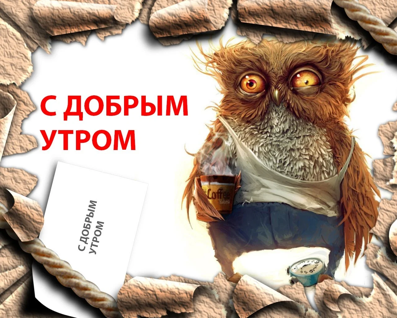 Открытка доброе утро коллеги. С добрым утром прикол. Смешные картинки с добрым утром. Доброе утро коллеги прикольные. Открытки с добрым утром с совами