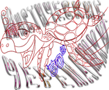 misticheskie-cherepashki01-png.1873320