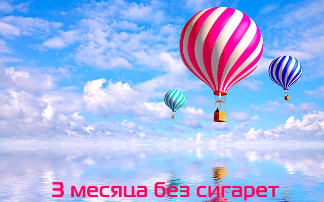 mon0301-jpg.613171
