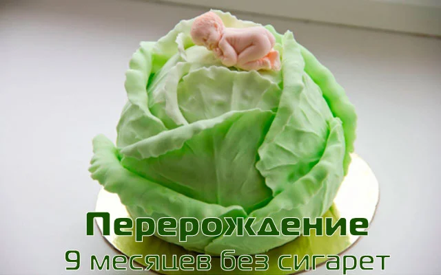 mon0901-jpg.453363