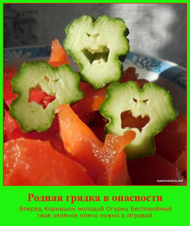 motivator-ogupec-jpg.682845