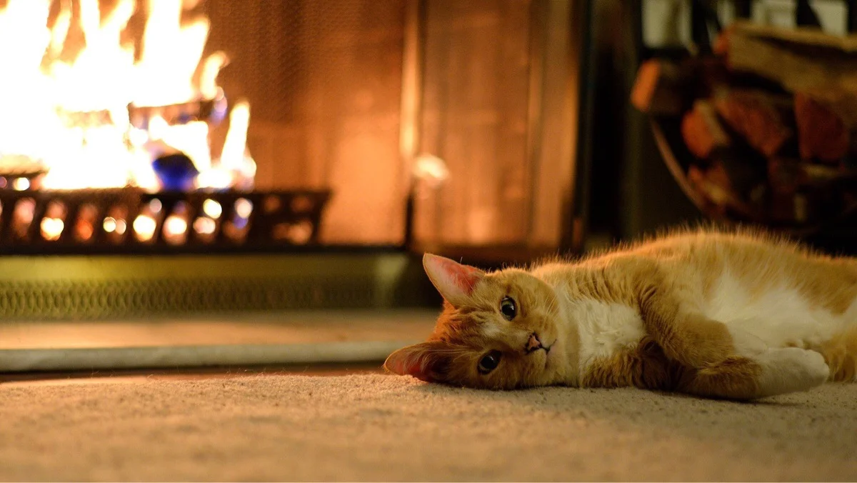 Уютного зимнего вечера. Тепло х. Уютная зима. Уютного вечера. Уютного вечера.