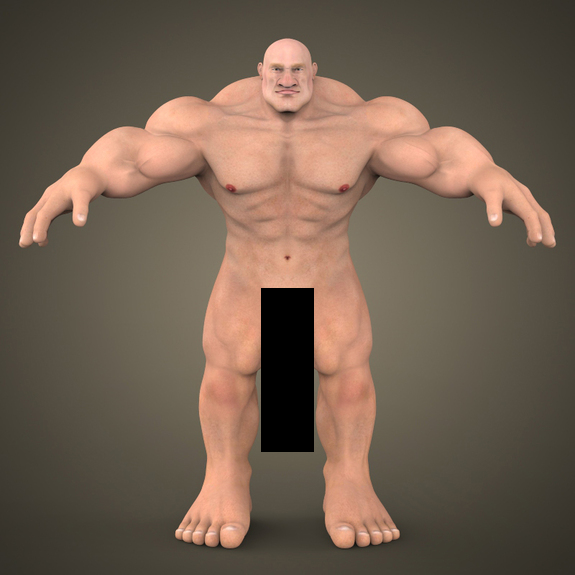 muscular.png