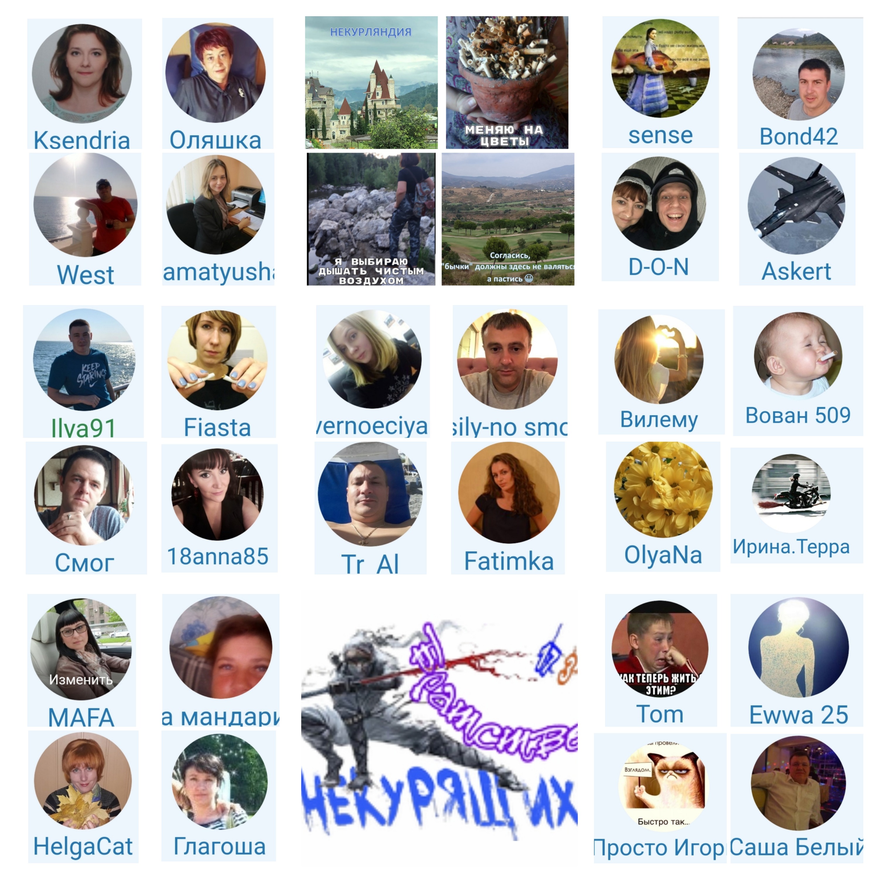 mycollages-18-jpg.1019434