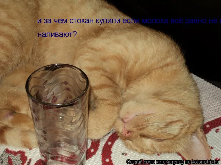 Давай наливай картинки прикольные