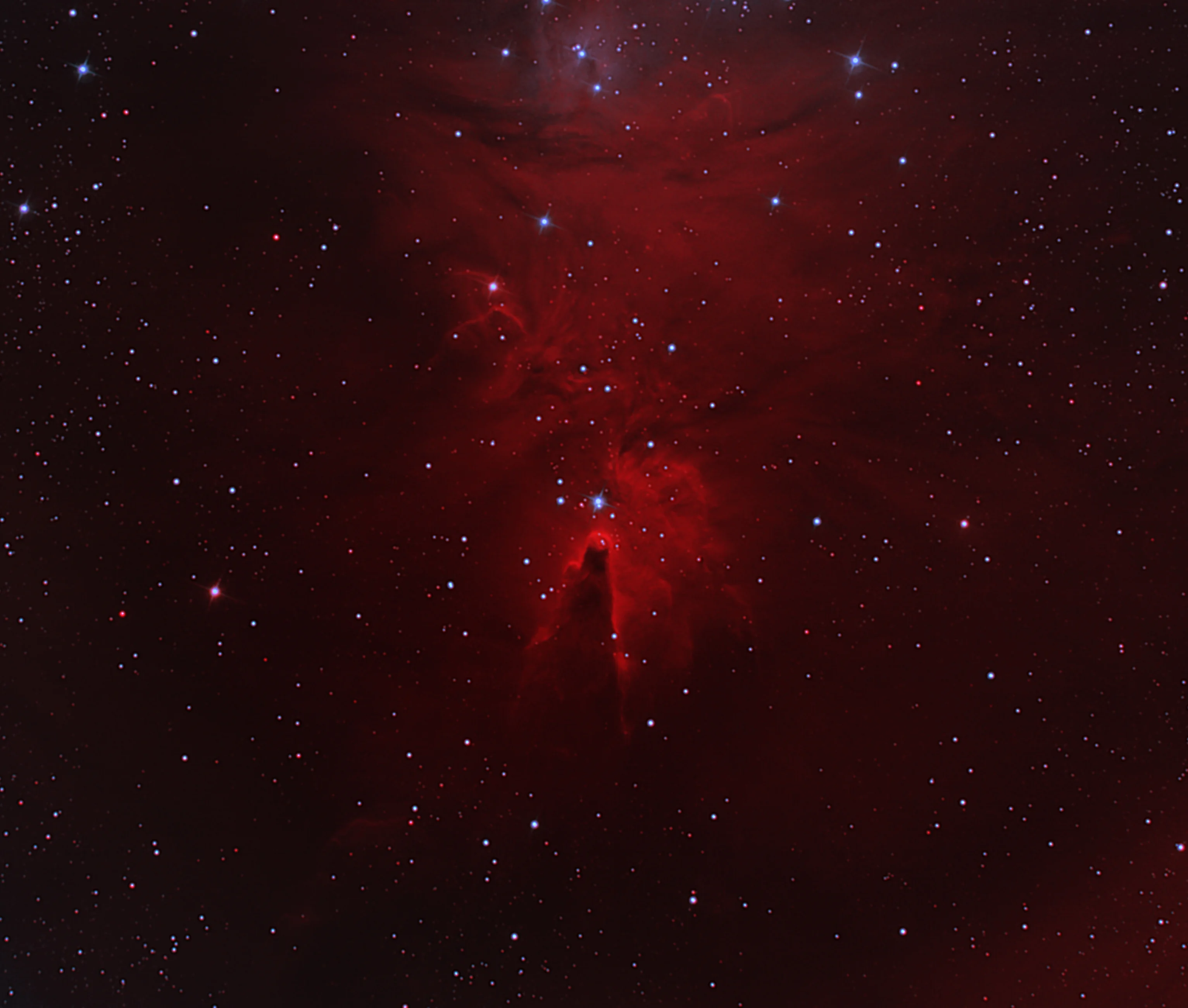 ngc2264-170217-jpg.387200