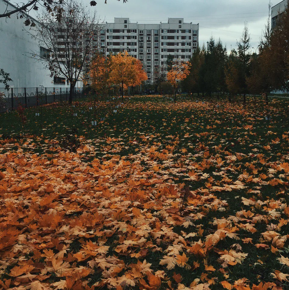 o3fstsaurwa-jpg.728007