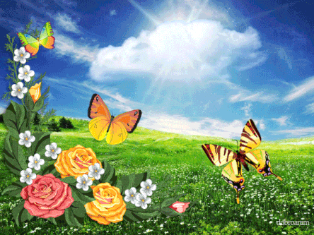 открытка-анимация-лето-природа-бабочки.gif