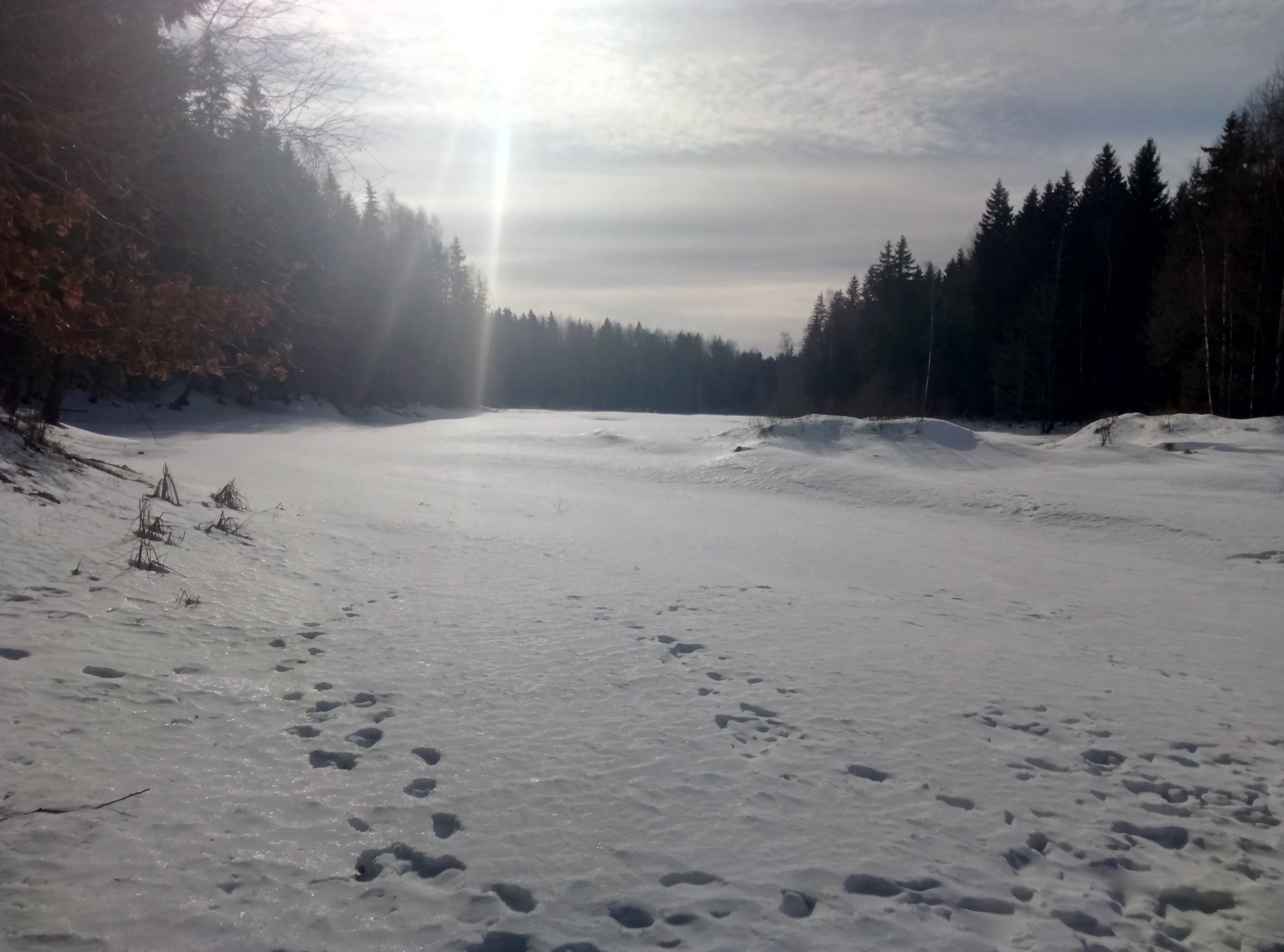 p70226-133458-jpg.341533